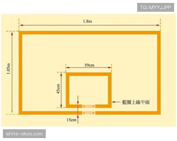 篮球八秒违例的规则判定标准及具体含义解析