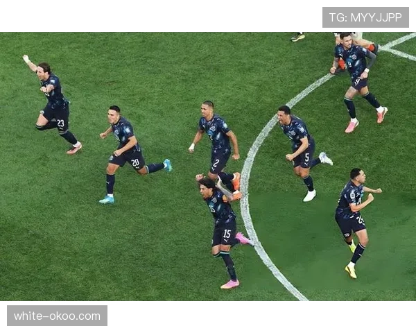 巴拉圭进入世界杯32强：第三名身份完成出线